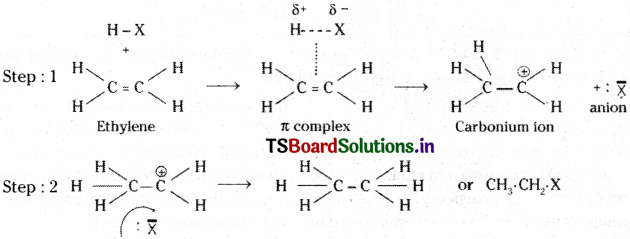 TS Inter 1st Year Chemistry Study Material Chapter 13 Organic Chemistry Some Basic Principles and Techniques 109
