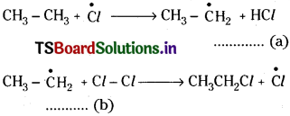 TS Inter 1st Year Chemistry Study Material Chapter 13 Organic Chemistry Some Basic Principles and Techniques 21