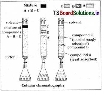 TS Inter 1st Year Chemistry Study Material Chapter 13 Organic Chemistry Some Basic Principles and Techniques 83