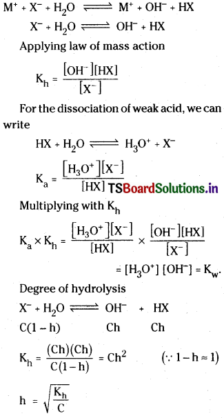 TS Inter 1st Year Chemistry Study Material Chapter 7 Chemical Equilibrium and Acids-Bases 91