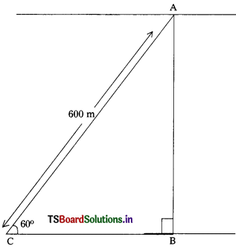TS 10th Class Maths Solutions Chapter 12 Applications of Trigonometry Ex 12.1 8