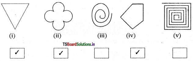 TS 6th Class Maths Solutions Chapter 4 Basic Geometrical Ideas Ex 4.2 2
