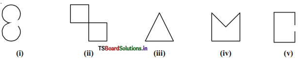 TS 6th Class Maths Solutions Chapter 4 Basic Geometrical Ideas Ex 4.2 3