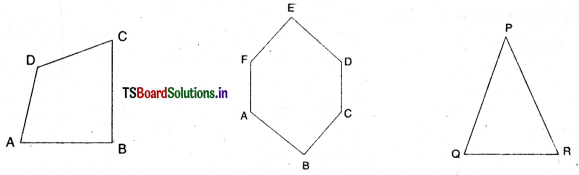 TS 6th Class Maths Solutions Chapter 4 Basic Geometrical Ideas Ex 4.2 5