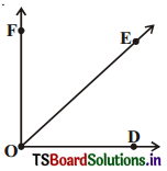 TS 6th Class Maths Solutions Chapter 4 Basic Geometrical Ideas Ex 4.3 4