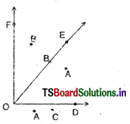 TS 6th Class Maths Solutions Chapter 4 Basic Geometrical Ideas Ex 4.3 5