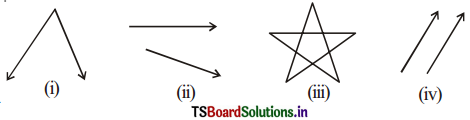 TS 6th Class Maths Solutions Chapter 4 Basic Geometrical Ideas Ex 4.3 6