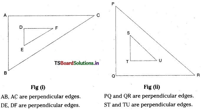 TS 6th Class Maths Solutions Chapter 5 Measures of Lines and Angles Ex 5.3 1