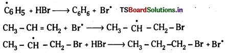 TS Inter 1st Year Chemistry Study Material Chapter 13 కర్బన రసాయన శాస్త్రం – సామాన్య సూత్రాలు, విధానాలు 110