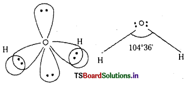 TS Inter 1st Year Chemistry Study Material Chapter 3 రసాయన బంధం – అణు నిర్మాణం 63