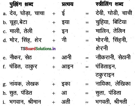 TS Inter 1st Year Hindi Grammar लिंग एवं वचन 1