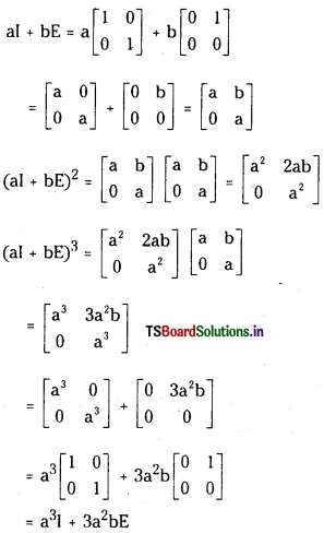 TS Inter 1st Year Maths 1A Solutions Chapter 3 Matrices Ex 3(b) 16
