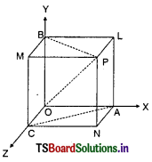 TS Inter 1st Year Maths 1A Solutions Chapter 5 Products of Vectors Ex 5(a) 14