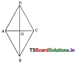 TS Inter 1st Year Maths 1B Solutions Chapter 3 Straight Lines Ex 3(d) 24