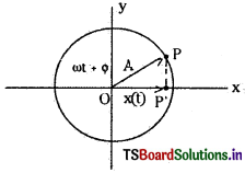 TS Inter 1st Year Physics Notes Chapter 8 డోలనాలు 2