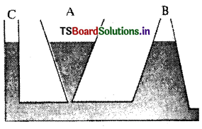 TS Inter 1st Year Physics Study Material Chapter 11 ప్రవాహుల యాంత్రిక ధర్మాలు 5