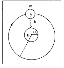 TS Inter 1st Year Physics Study Material Chapter 9 గురుత్వాకర్షణ 2