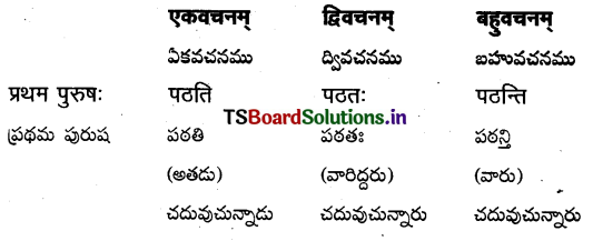 TS Inter 1st Year Sanskrit Grammar धातुरूपाणि 1