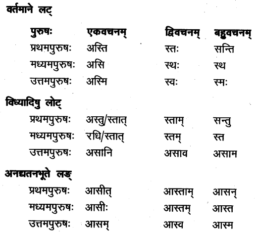 TS Inter 1st Year Sanskrit Grammar धातुरूपाणि 10
