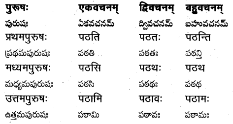 TS Inter 1st Year Sanskrit Grammar धातुरूपाणि 12