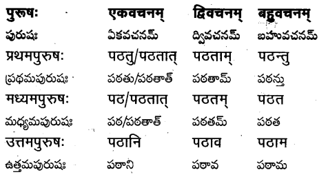 TS Inter 1st Year Sanskrit Grammar धातुरूपाणि 13