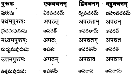 TS Inter 1st Year Sanskrit Grammar धातुरूपाणि 14