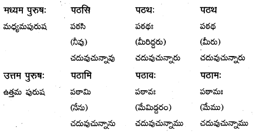 TS Inter 1st Year Sanskrit Grammar धातुरूपाणि 2