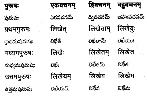 TS Inter 1st Year Sanskrit Grammar धातुरूपाणि 20