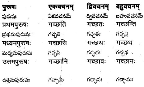 TS Inter 1st Year Sanskrit Grammar धातुरूपाणि 22