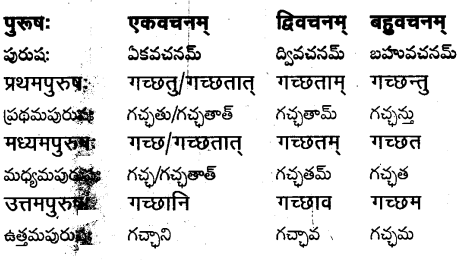 TS Inter 1st Year Sanskrit Grammar धातुरूपाणि 23