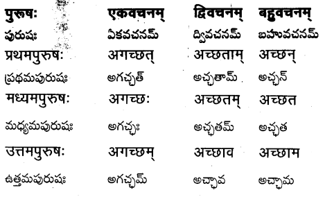 TS Inter 1st Year Sanskrit Grammar धातुरूपाणि 24