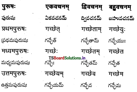 TS Inter 1st Year Sanskrit Grammar धातुरूपाणि 25