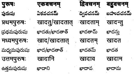 TS Inter 1st Year Sanskrit Grammar धातुरूपाणि 29