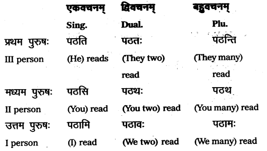 TS Inter 1st Year Sanskrit Grammar धातुरूपाणि 3