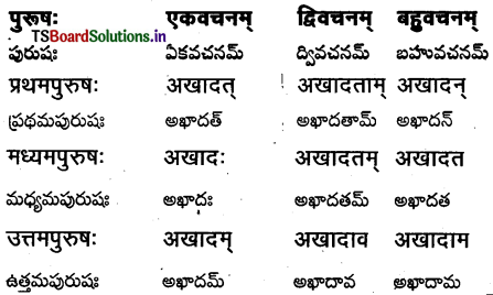 TS Inter 1st Year Sanskrit Grammar धातुरूपाणि 30