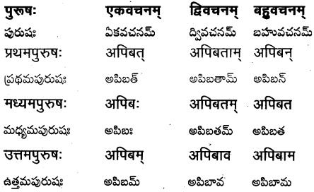 TS Inter 1st Year Sanskrit Grammar धातुरूपाणि 35