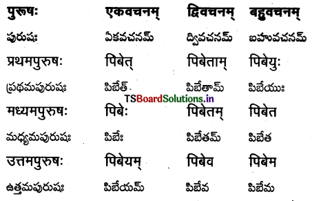 TS Inter 1st Year Sanskrit Grammar धातुरूपाणि 36