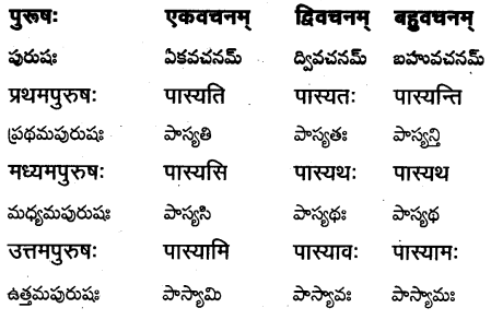 TS Inter 1st Year Sanskrit Grammar धातुरूपाणि 37
