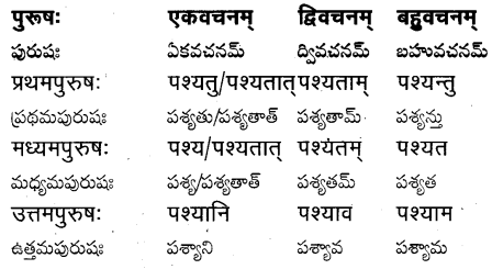TS Inter 1st Year Sanskrit Grammar धातुरूपाणि 45