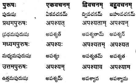 TS Inter 1st Year Sanskrit Grammar धातुरूपाणि 46