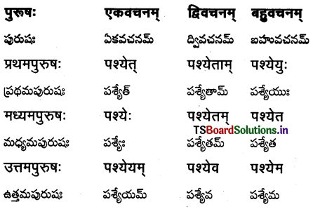 TS Inter 1st Year Sanskrit Grammar धातुरूपाणि 47