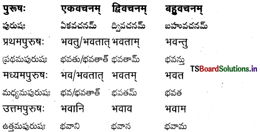TS Inter 1st Year Sanskrit Grammar धातुरूपाणि 6