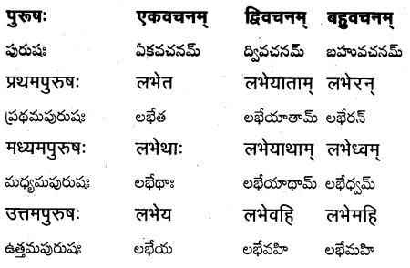 TS Inter 1st Year Sanskrit Grammar धातुरूपाणि 60