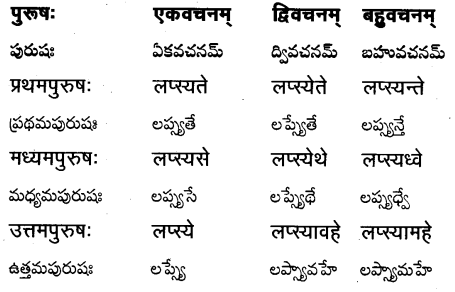 TS Inter 1st Year Sanskrit Grammar धातुरूपाणि 61