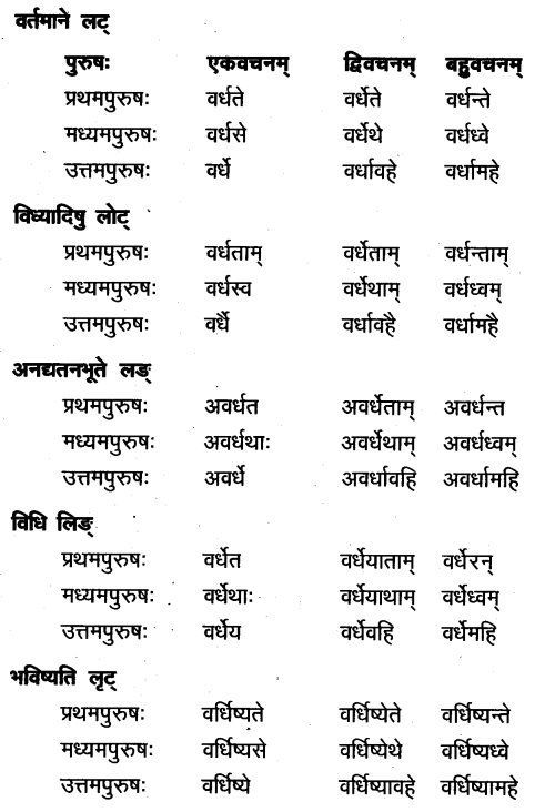TS Inter 1st Year Sanskrit Grammar धातुरूपाणि 62