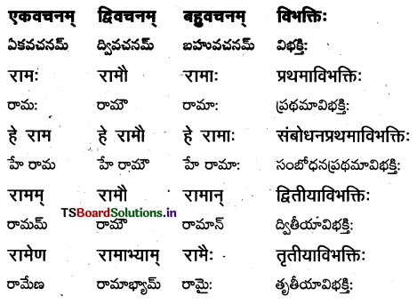 TS Inter 1st Year Sanskrit Grammar शब्दरूपाणि 1
