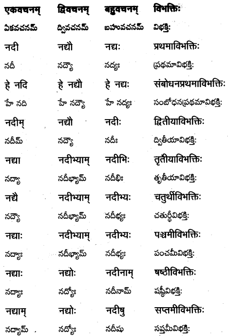 TS Inter 1st Year Sanskrit Grammar शब्दरूपाणि 11