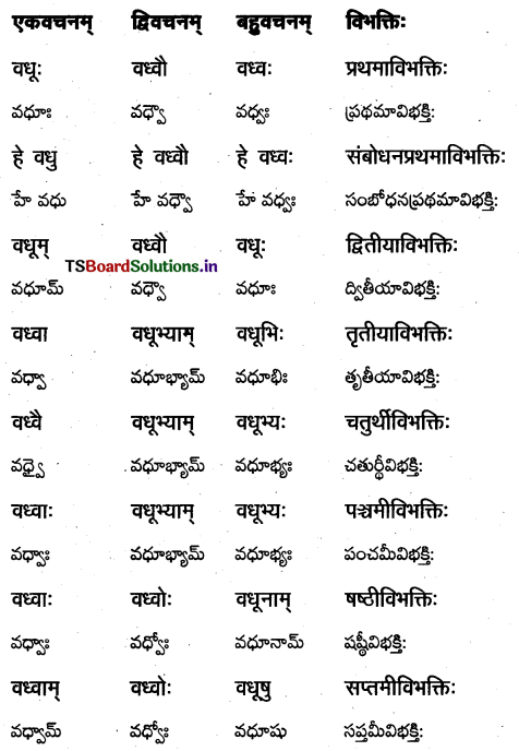 TS Inter 1st Year Sanskrit Grammar शब्दरूपाणि 12