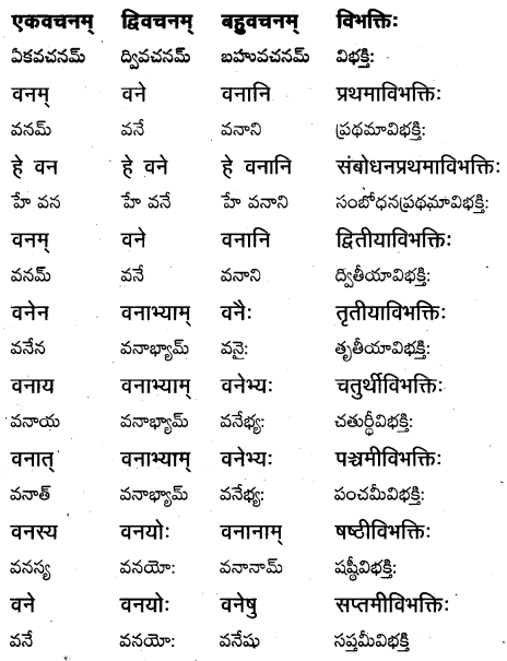 TS Inter 1st Year Sanskrit Grammar शब्दरूपाणि 13