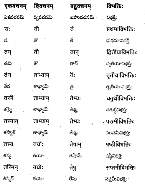 TS Inter 1st Year Sanskrit Grammar शब्दरूपाणि 16